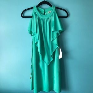 NWT Petite Milly Dress
